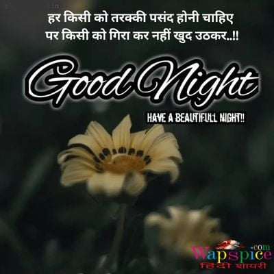 Beautiful Good Night Quotes In Hindi