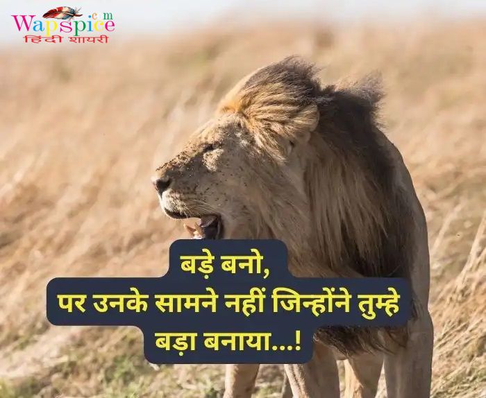 Instagram Attitude Shayari In Hindi 5