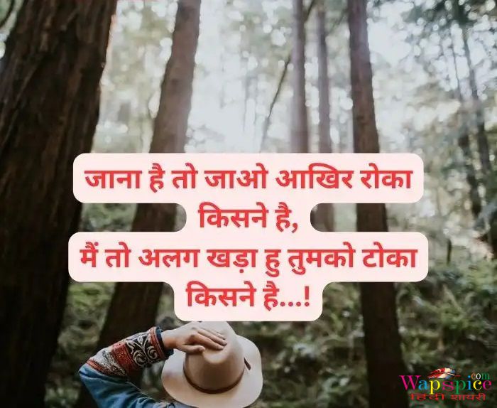 Instagram Attitude Shayari In Hindi 9
