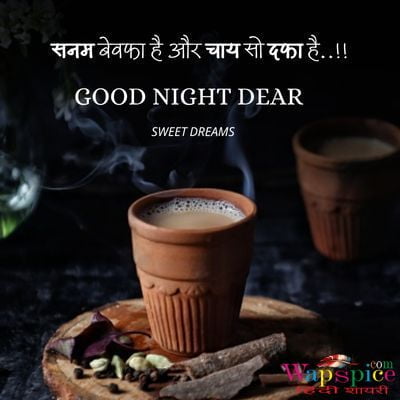Romantic Good Night Quotes In Hindi (1)