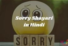 Sorry Shayari In Hindi 1
