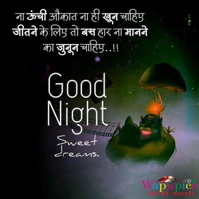 Good Night Family Quotes In Hindi (1)