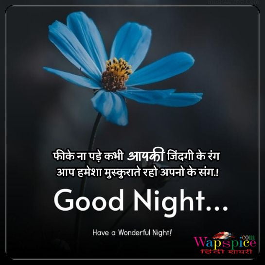Good Night Family Quotes In Hindi
