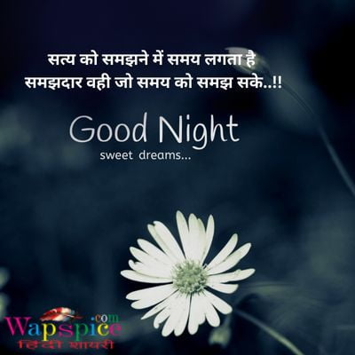 Good Night Friends Quotes In Hindi