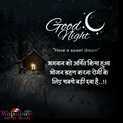 Good Night In Hindi Quotes