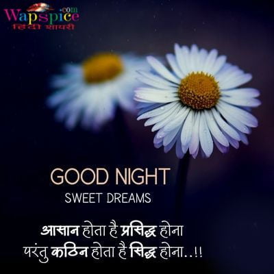 Good Night Sad Quotes In Hindi