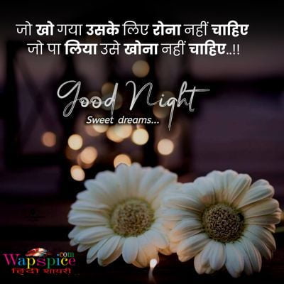 Happy Good Night Quotes In Hindi
