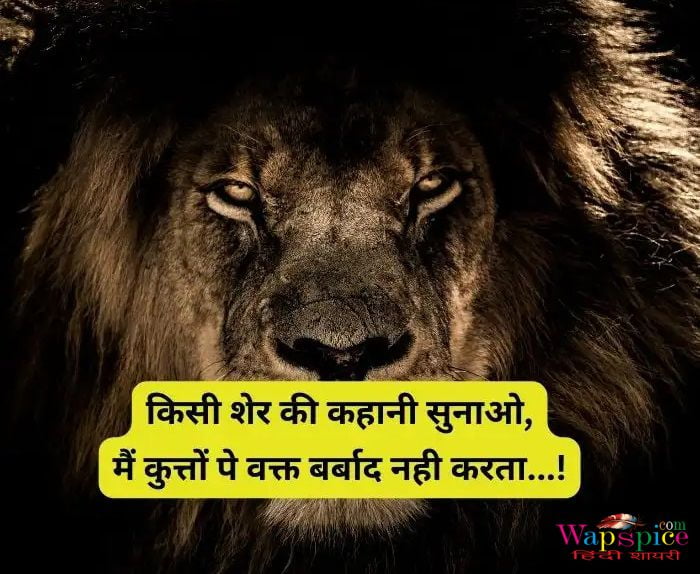 Instagram Attitude Shayari In Hindi 11