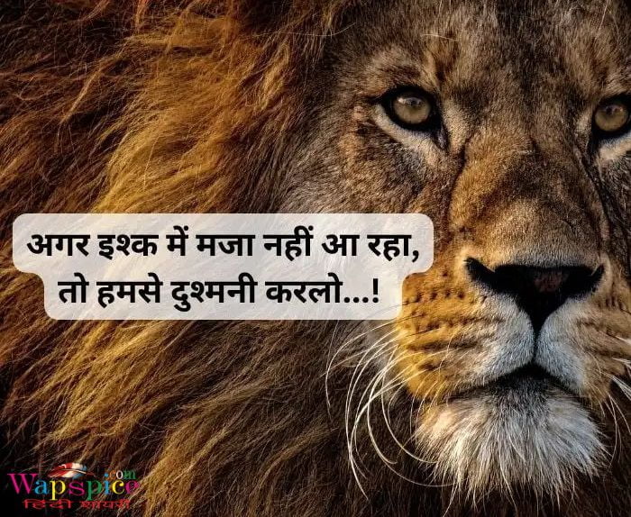 Instagram Attitude Shayari In Hindi 12