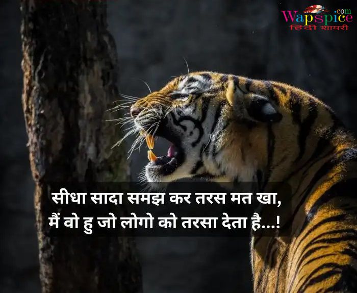 Instagram Attitude Shayari In Hindi 18
