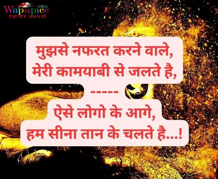 Instagram Attitude Shayari In Hindi 20