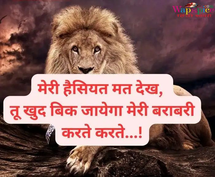 Instagram Attitude Shayari In Hindi 23