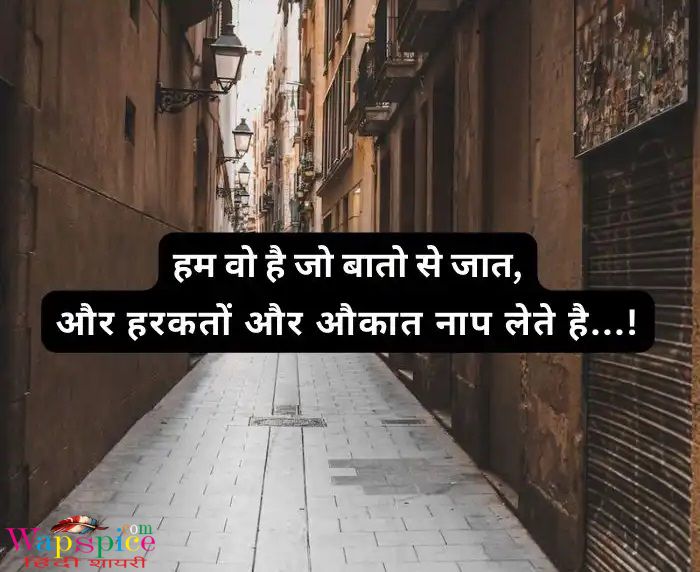 Instagram Attitude Shayari In Hindi 3