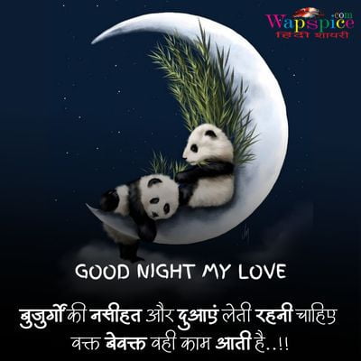 Love Good Night Quotes In Hindi