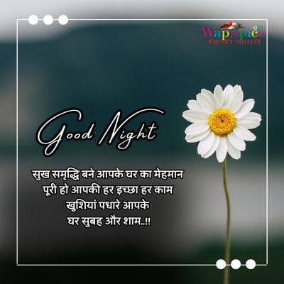 Romantic Good Night Quotes In Hindi