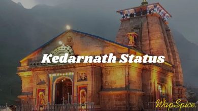 Kedarnath Status In Hindi 1