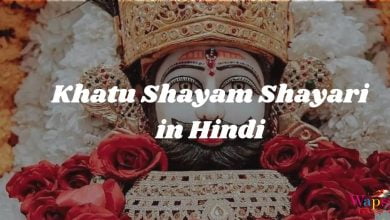 Khatu Shyam Shayari In Hindi