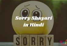 Sorry Shayari In Hindi 1